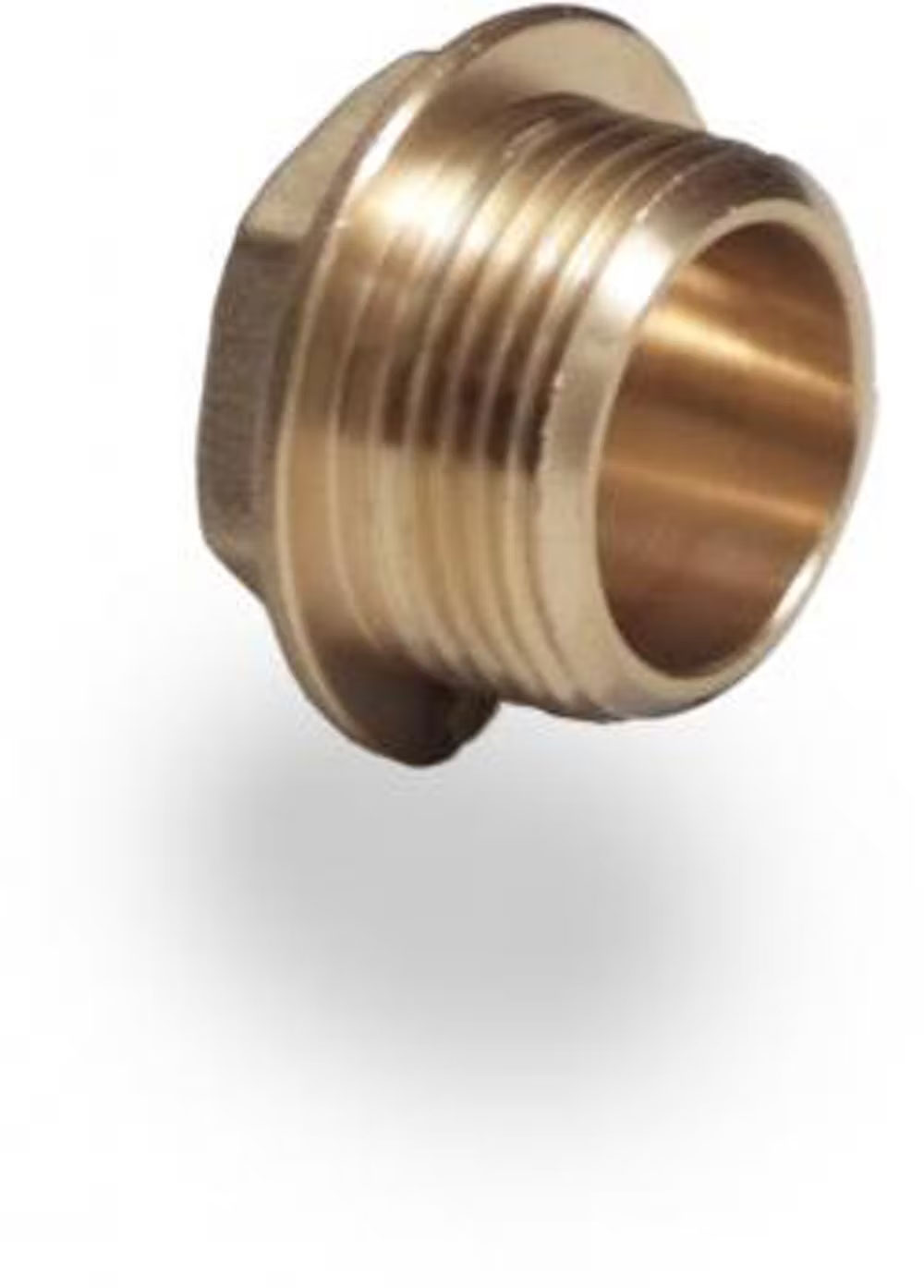 1 1/2" Brass Flanged Plug