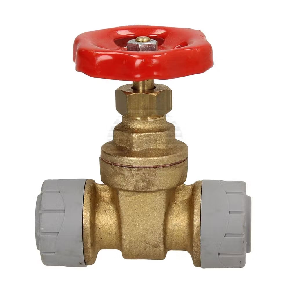 22mm Polyplumb Gate Valve